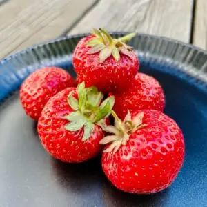 B2B Karlssons jordgubbar - klass 1 - 500gram! NR2