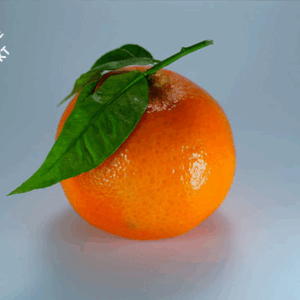 Kommande: Ekologiska Clementiner 6 kg